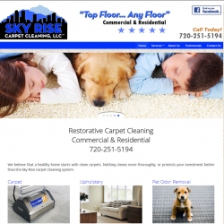 Sky Rise Carpet Cleaning